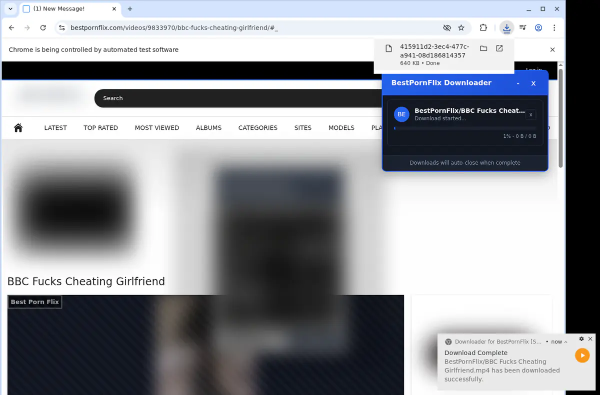 Bestpornflix Video Downloader screenshot 2