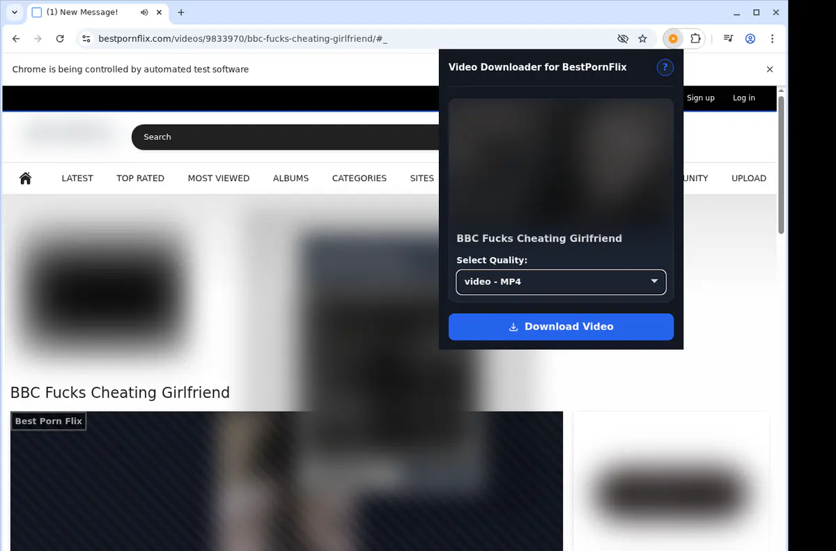 Bestpornflix Video Downloader screenshot 3