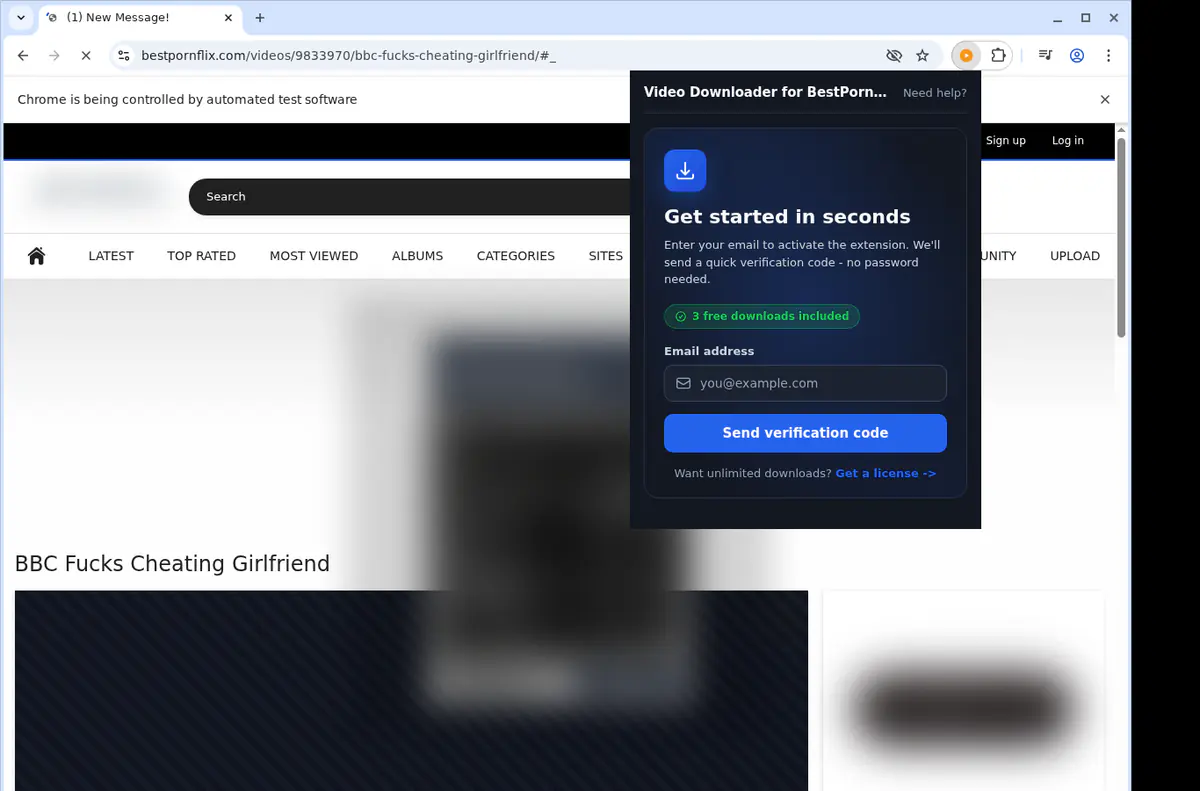 Bestpornflix Video Downloader screenshot 4