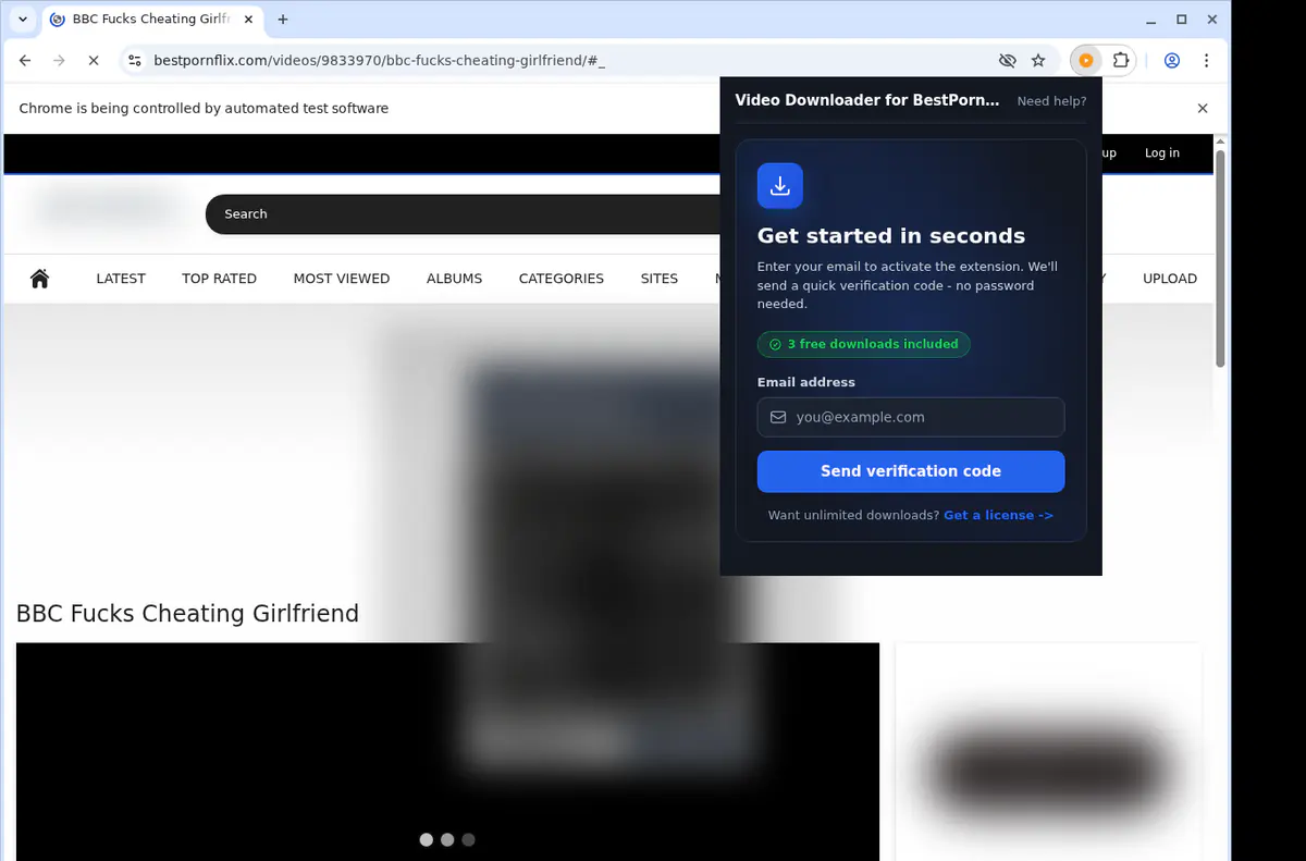 Bestpornflix Video Downloader screenshot 5